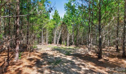 Photo #12 of Narrow Bridge, Chester, SC