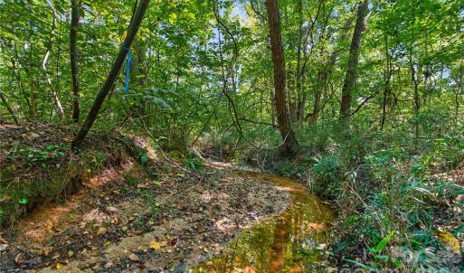 Photo #17 of Narrow Bridge, Chester, SC