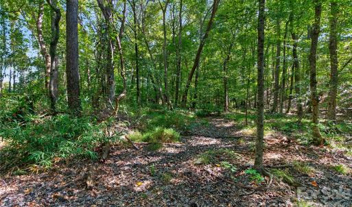 Photo #18 of Narrow Bridge, Chester, SC