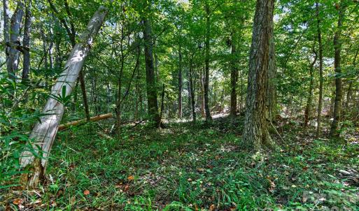 Photo #21 of Narrow Bridge, Chester, SC