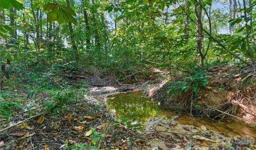 Photo #2 of Narrow Bridge, Chester, SC