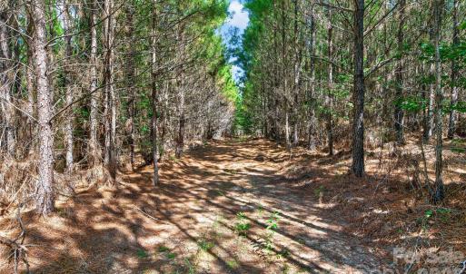 Photo #11 of Narrow Bridge, Chester, SC