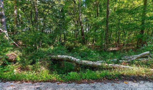 Photo #24 of Narrow Bridge, Chester, SC