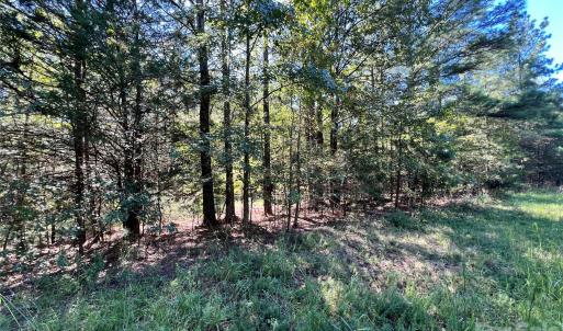Photo #11 of 16252 Eury, Norwood, NC