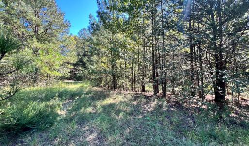 Photo #10 of 16252 Eury, Norwood, NC