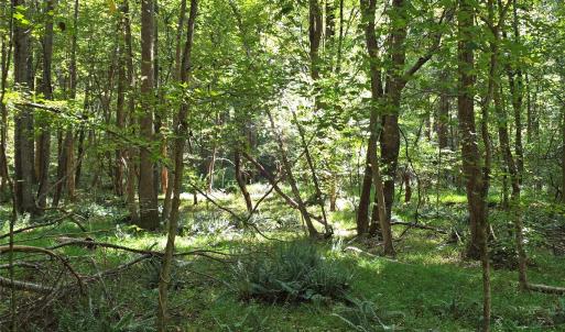 Photo #26 of 552 Midway, Richburg, SC