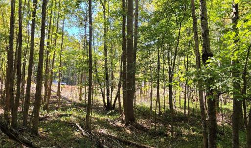 Photo #19 of 552 Midway, Richburg, SC