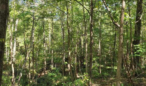 Photo #20 of 552 Midway, Richburg, SC