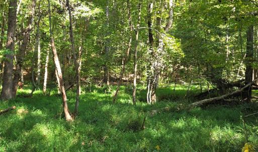 Photo #25 of 552 Midway, Richburg, SC