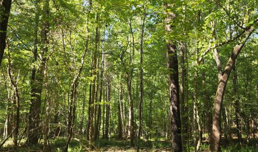 Photo #29 of 552 Midway, Richburg, SC