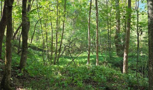 Photo #32 of 552 Midway, Richburg, SC