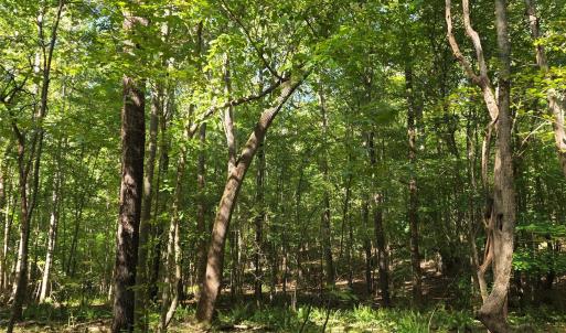 Photo #30 of 552 Midway, Richburg, SC