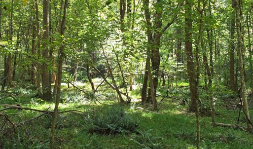 Photo #27 of 552 Midway, Richburg, SC