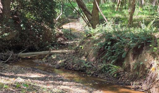 Photo #23 of 552 Midway, Richburg, SC