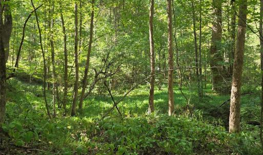 Photo #33 of 552 Midway, Richburg, SC