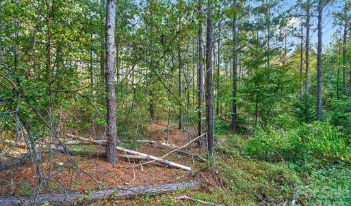 Photo #17 of Garvin, York, SC