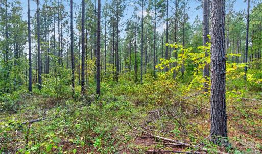Photo #23 of Garvin, York, SC