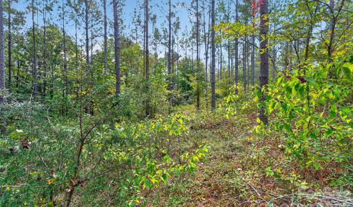 Photo #18 of Garvin, York, SC