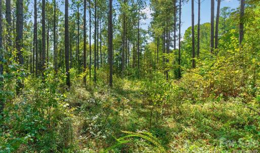 Photo #8 of Garvin, York, SC
