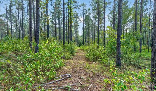 Photo #5 of Garvin, York, SC