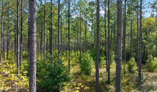 Photo #6 of Garvin, York, SC