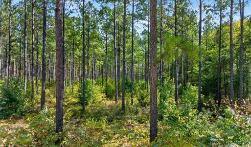 Photo #28 of Garvin, York, SC
