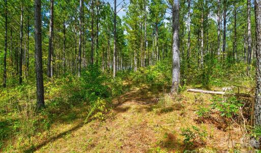 Photo #13 of Garvin, York, SC