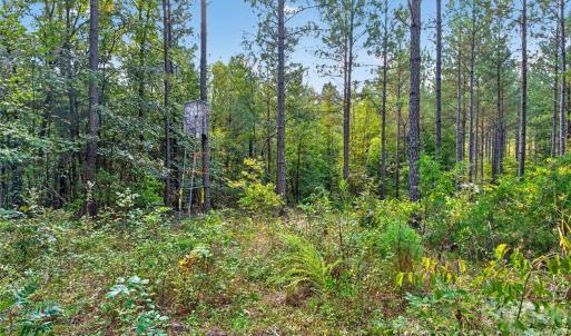 Photo #16 of Garvin, York, SC