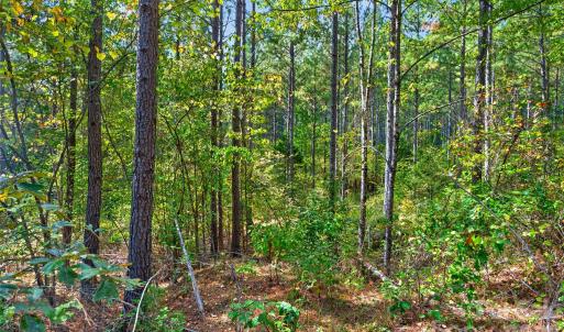 Photo #19 of Garvin, York, SC
