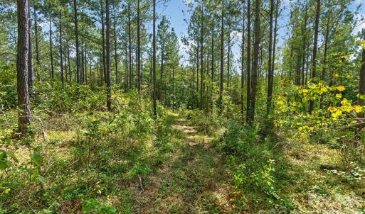 Photo #15 of Garvin, York, SC