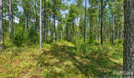 Photo #12 of Garvin, York, SC
