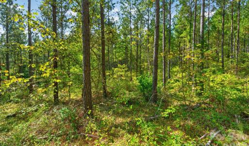 Photo #14 of Garvin, York, SC