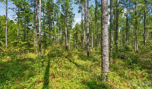Photo #11 of Garvin, York, SC