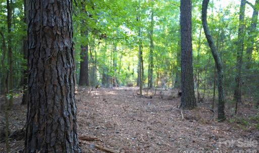 Photo #30 of 2233 Rodman, Chester, SC
