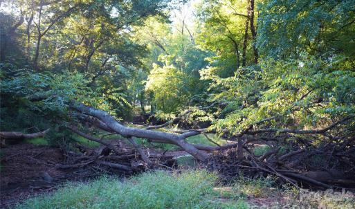 Photo #35 of 2233 Rodman, Chester, SC