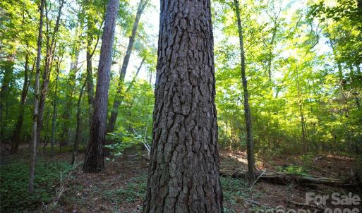 Photo #28 of 2233 Rodman, Chester, SC