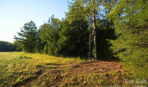 Photo #13 of 2233 Rodman, Chester, SC