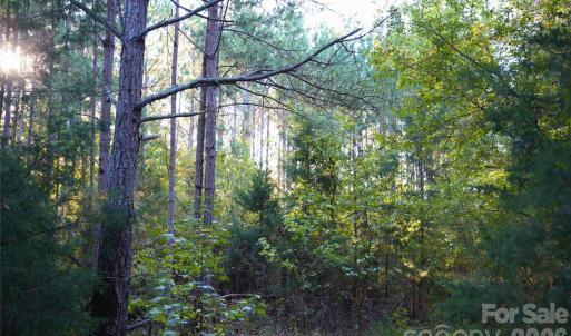 Photo #23 of 2233 Rodman, Chester, SC