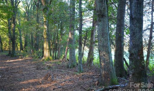 Photo #38 of 2233 Rodman, Chester, SC