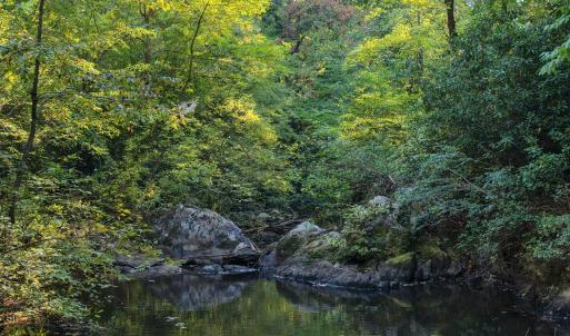 Photo #40 of 6417 Abner, Asheboro, NC