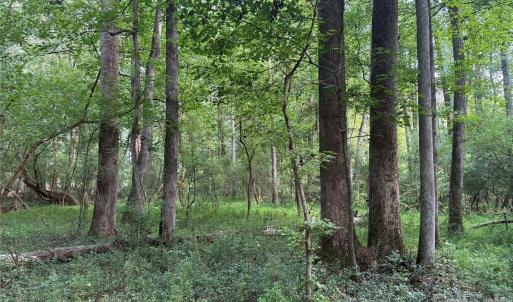 Photo #5 of TBD Sincerity, Monroe, NC