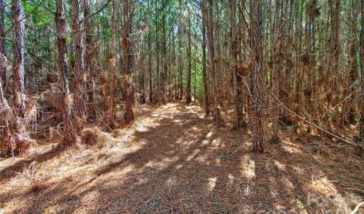 Photo #23 of Narrow Bridge, Chester, SC