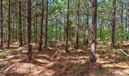 Photo #10 of Narrow Bridge, Chester, SC