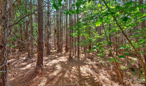 Photo #19 of Narrow Bridge, Chester, SC