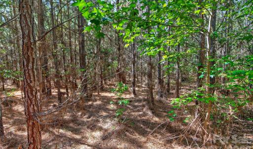 Photo #17 of Narrow Bridge, Chester, SC