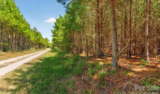 Photo #3 of Narrow Bridge, Chester, SC