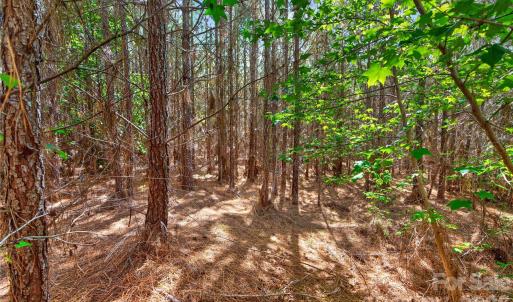 Photo #18 of Narrow Bridge, Chester, SC