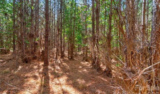 Photo #20 of Narrow Bridge, Chester, SC