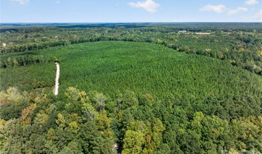 Photo #33 of Narrow Bridge, Chester, SC