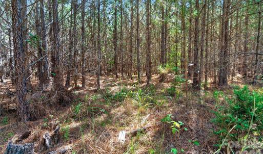 Photo #25 of Narrow Bridge, Chester, SC